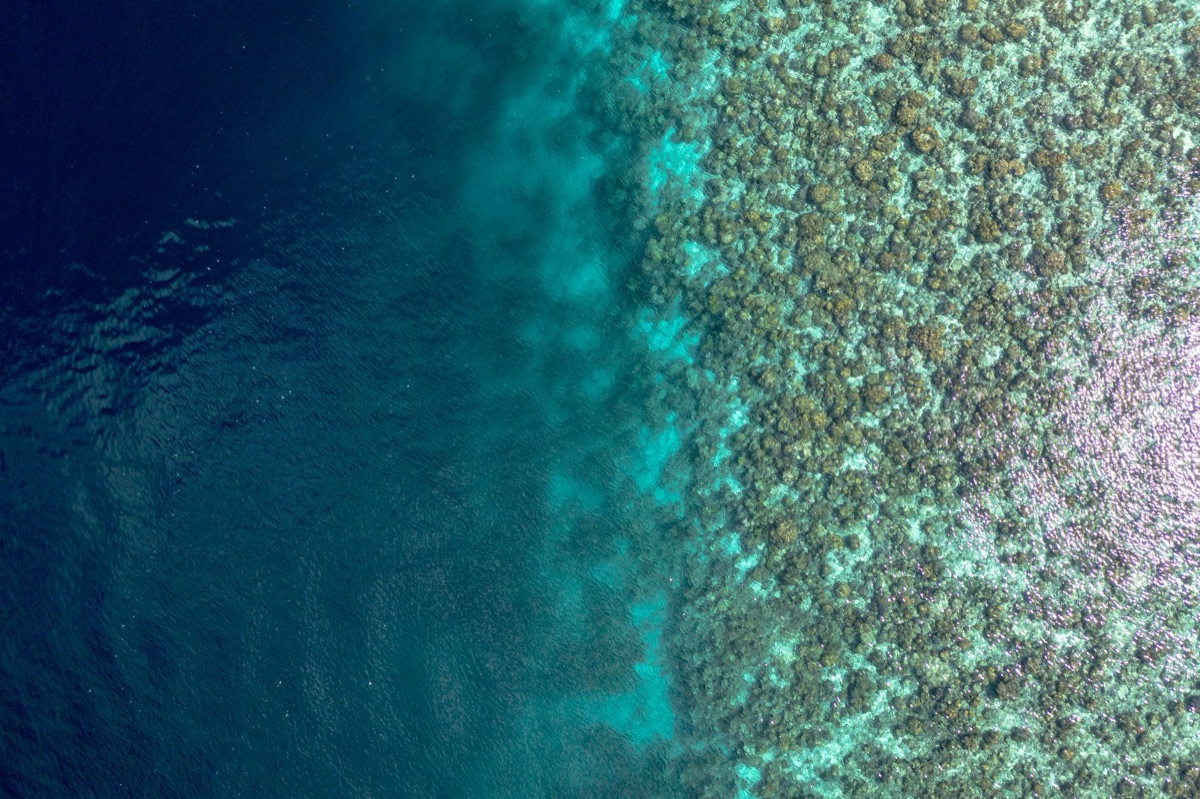 Familie snorkelt in einem maldivischen Korallenriff