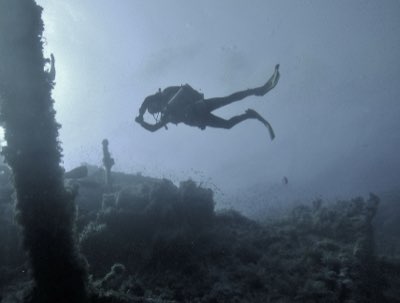 Maldives Adventures: Snorkel vs. Dive for Your Perfect Trip