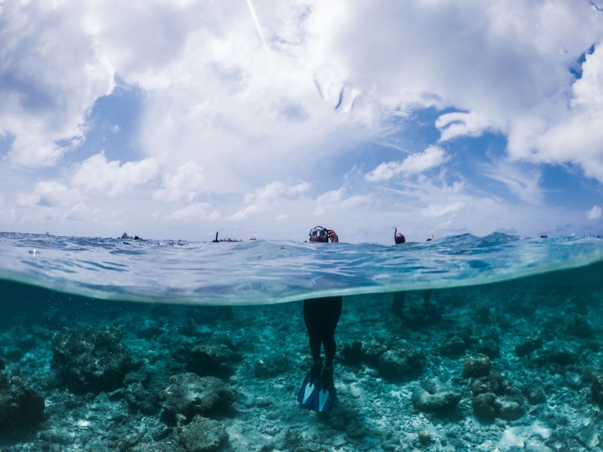 Un masque et des jambes de plongée pour le diving