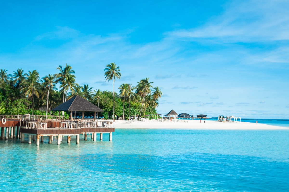 Maldivian restaurant with tropical decor