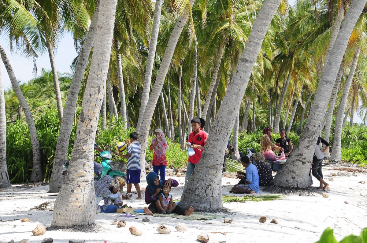 Maisons traditionnelles des Maldives