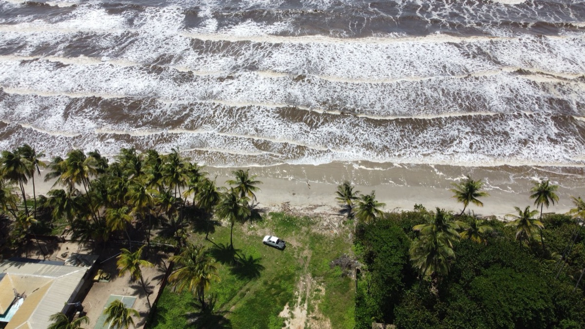 playa con palmeras en maphisi