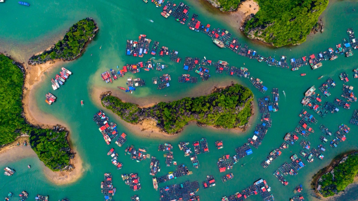 ilha com elementos culturais e paisagem natural