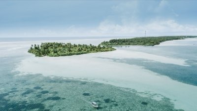 巔峰酬勞紀錄：尼烏瑪如何定義馬爾地夫影壇價值完整指南