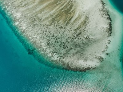 馬爾地夫女子足球隊：從誕生到綠茵上的堅持之旅完整指南